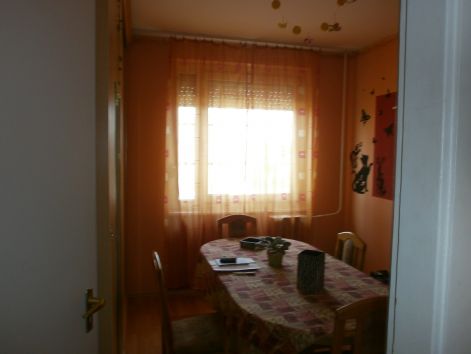 p5231110.jpg