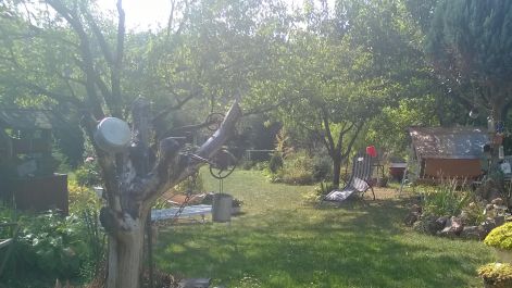 parke6.jpg