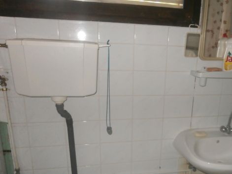 rumtul84.jpg